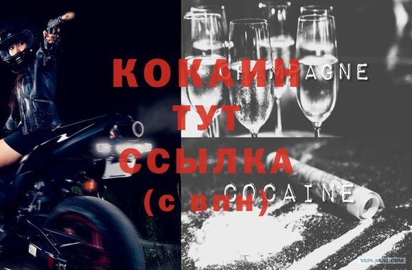 jwh Ельня