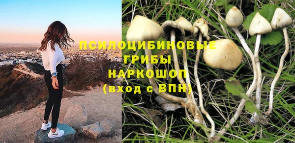 jwh Ельня