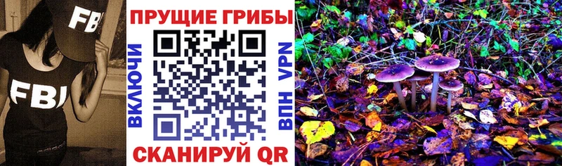 Галлюциногенные грибы MAGIC MUSHROOMS  Карабаново 